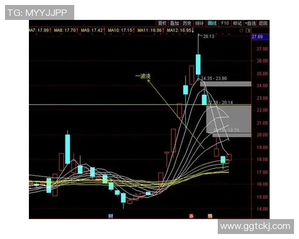 南京排球队精英赛征程揭秘：从挑战到辉煌的突破之路