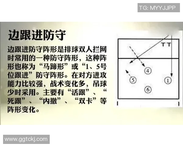 重庆排球队区域防守革新探索与实践的深度分析与展望